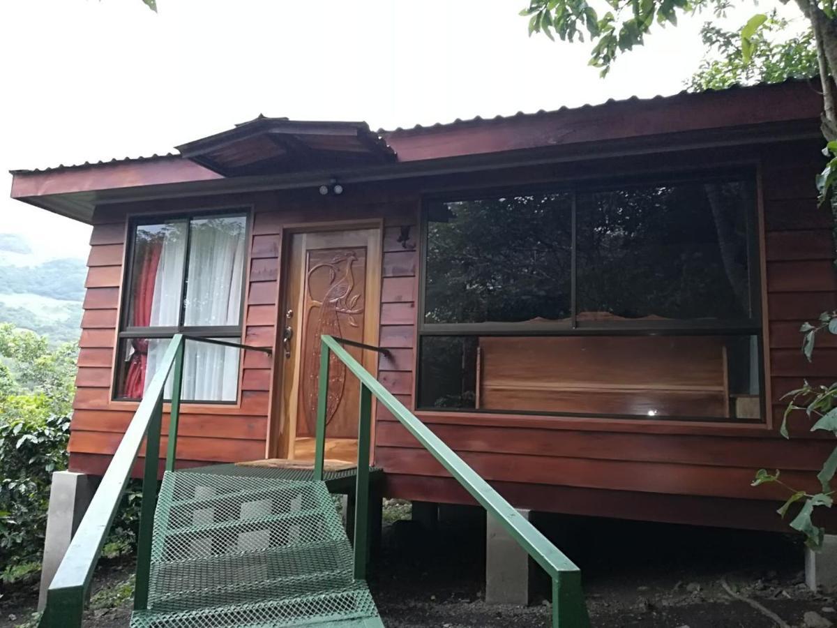 Rancho De Lelo Ecolodge Monteverde 외부 사진