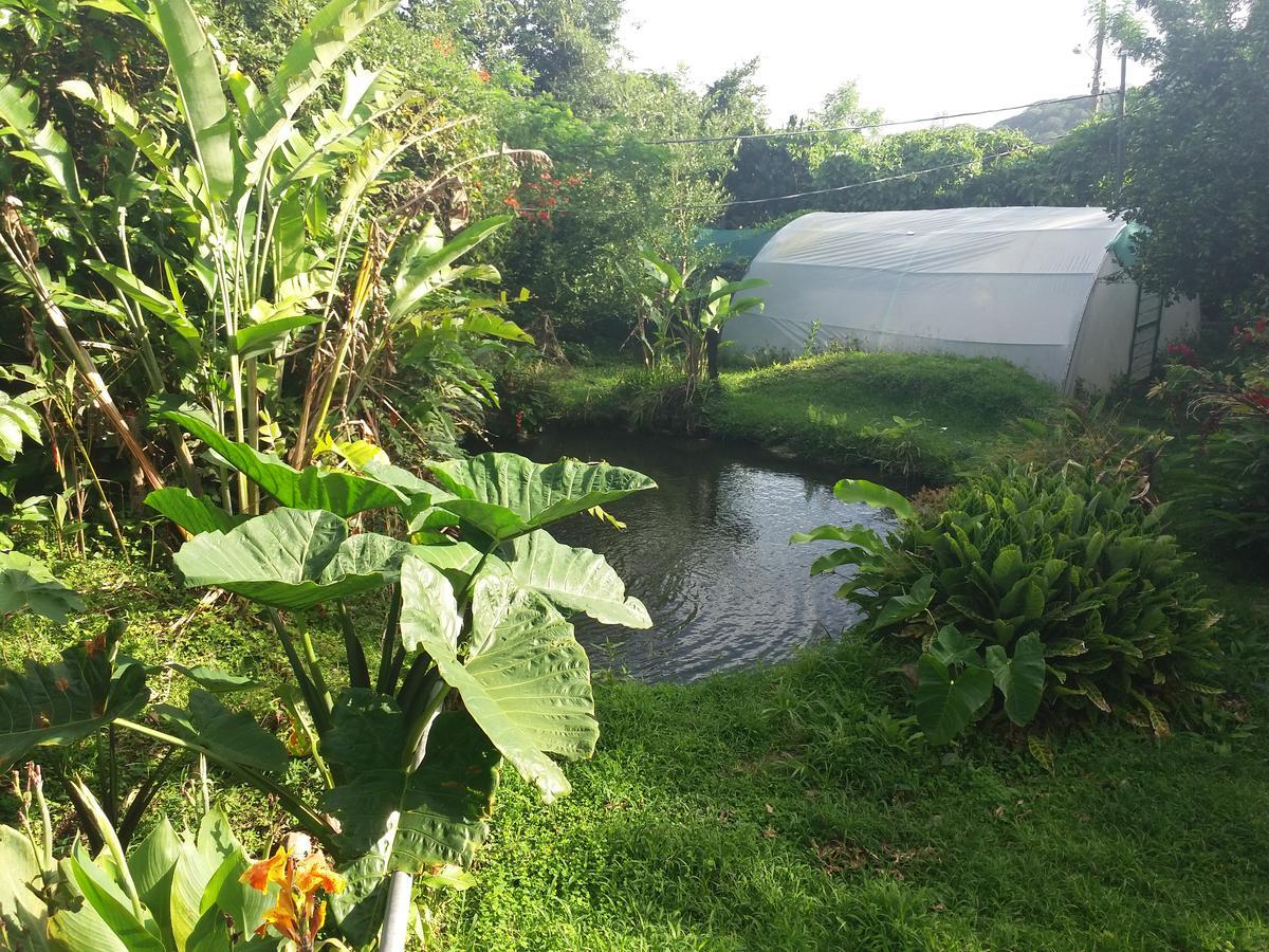 Rancho De Lelo Ecolodge Monteverde 외부 사진