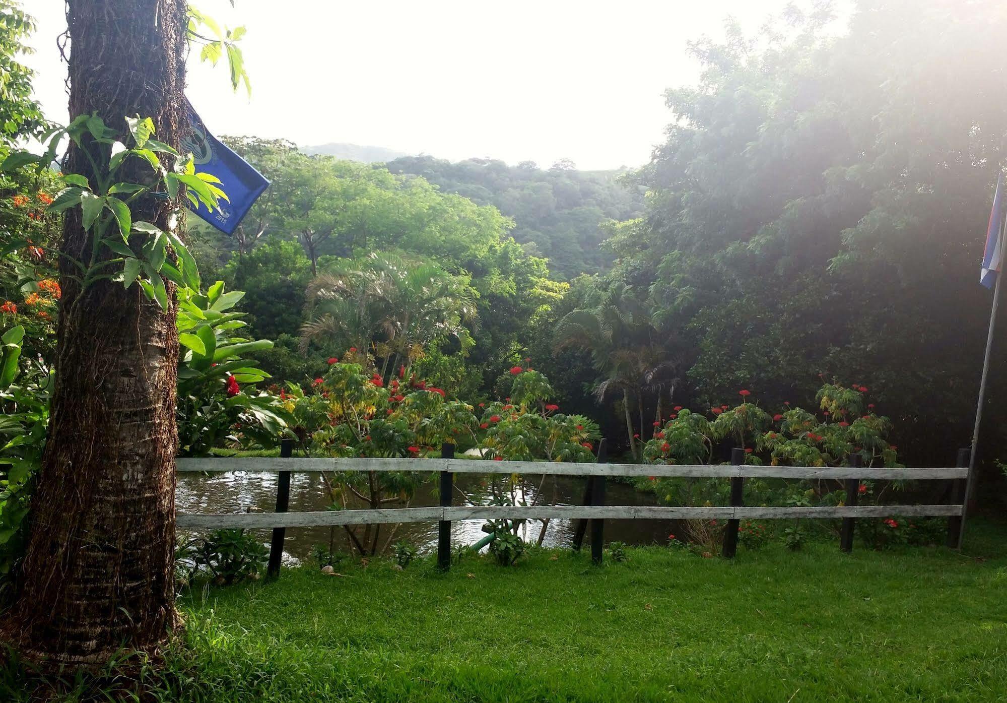 Rancho De Lelo Ecolodge Monteverde 외부 사진