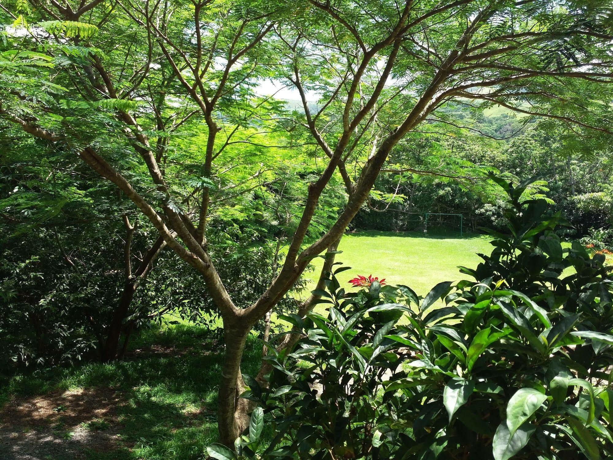 Rancho De Lelo Ecolodge Monteverde 외부 사진
